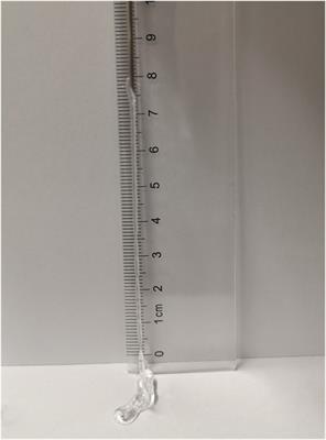 Biocompatibility and Efficacy of a Linearly Cross-Linked Sodium Hyaluronic Acid Hydrogel as a Retinal Patch in Rhegmatogenous Retinal Detachment Repairment